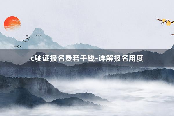 c驶证报名费若干钱-详解报名用度