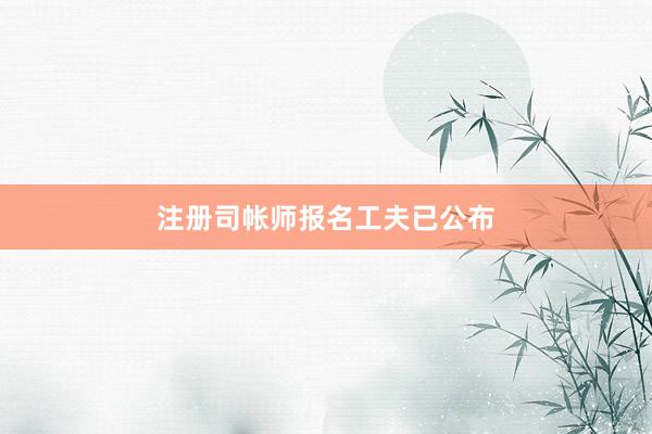 注册司帐师报名工夫已公布
