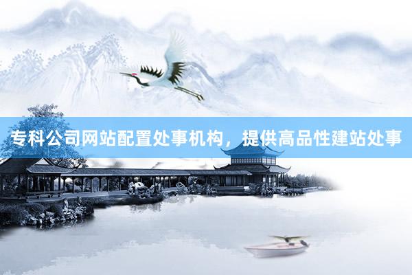 专科公司网站配置处事机构，提供高品性建站处事