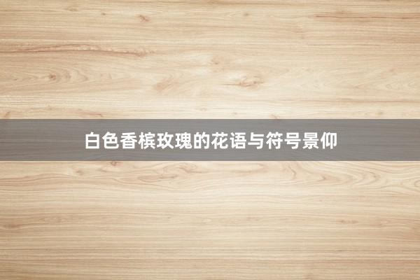 白色香槟玫瑰的花语与符号景仰